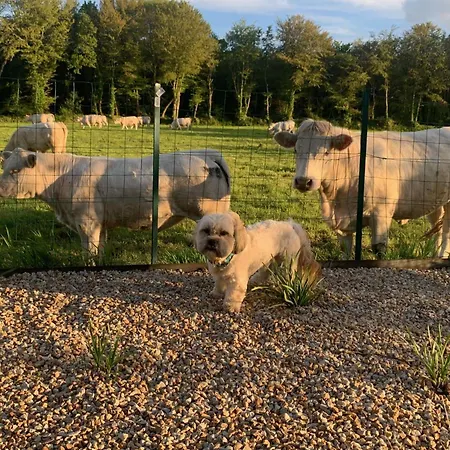 Hotel Brit Lannion-perros Guirec